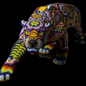 Jaguar Multicolor