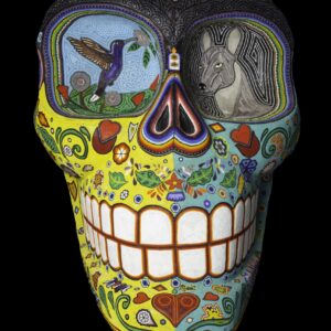 Cráneo Vida de Frida