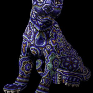 Jaguar Agua